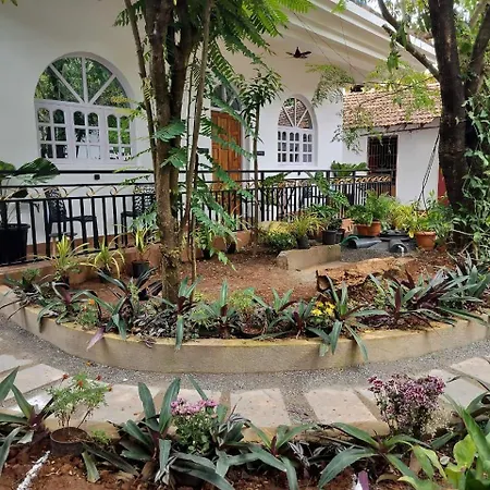 Whispering Palms Anjuna